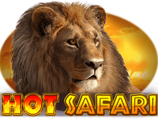 Hot Safari screenshot